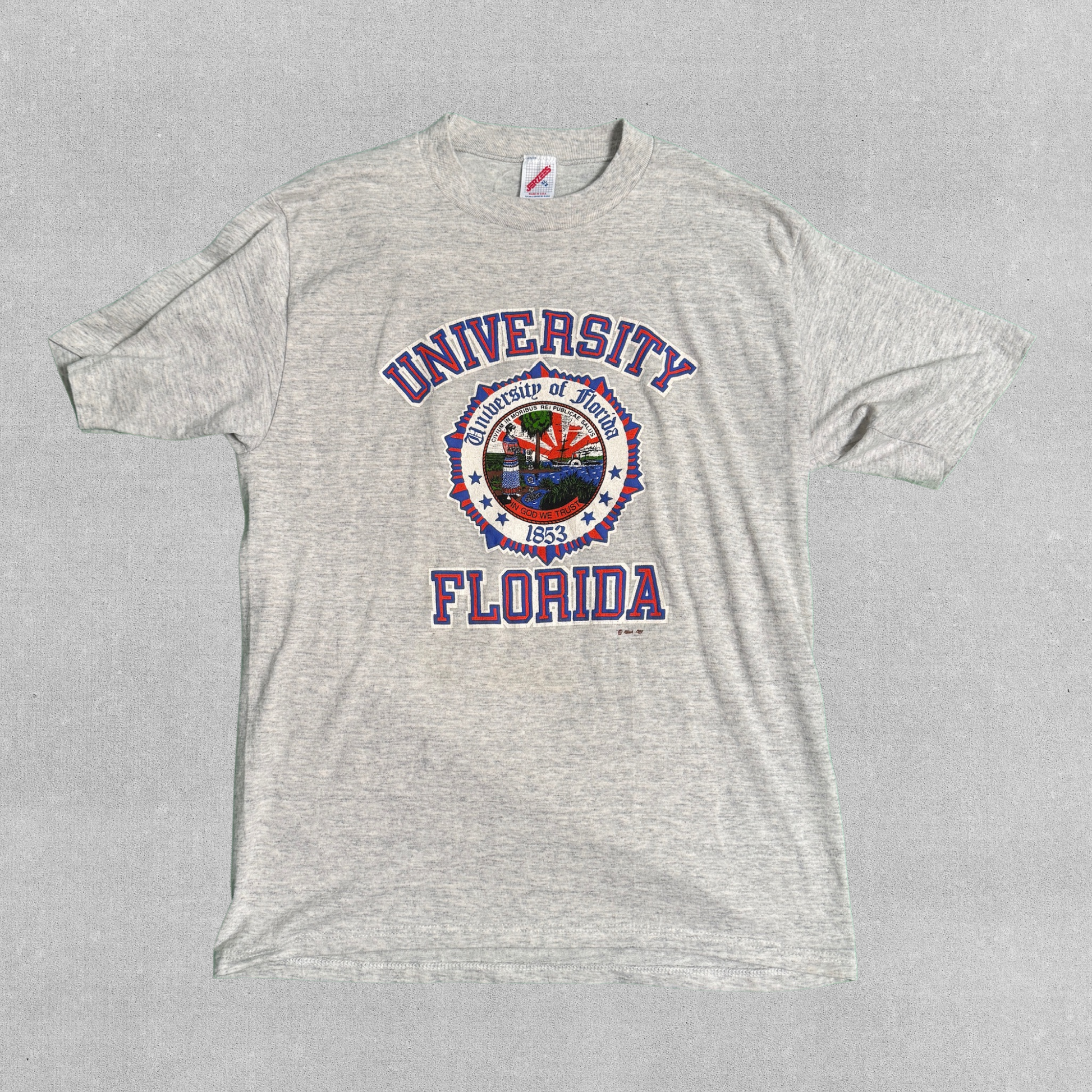 Vintage 70s 80s University of Florida Gators T-Shirt by Jerzees | XL